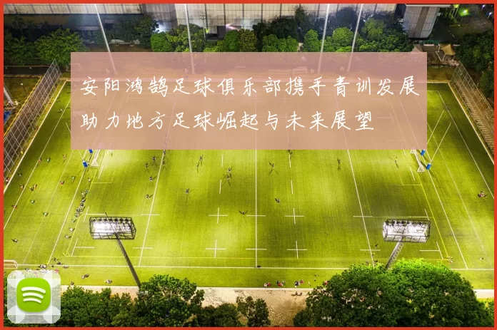 安阳鸿鹄足球俱乐部携手青训发展助力地方足球崛起与未来展望