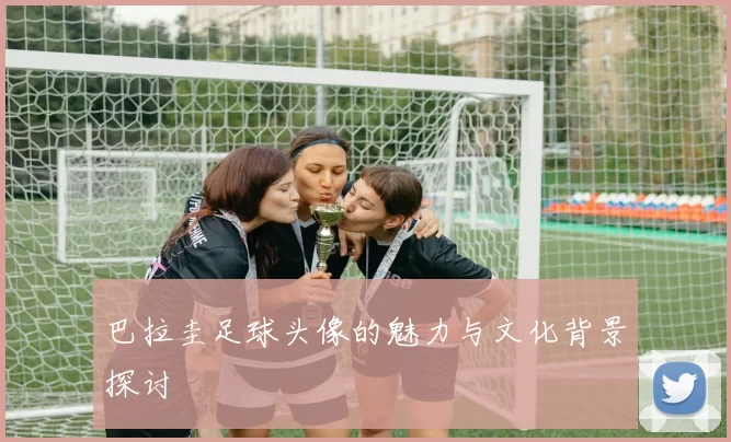 巴拉圭足球头像的魅力与文化背景探讨