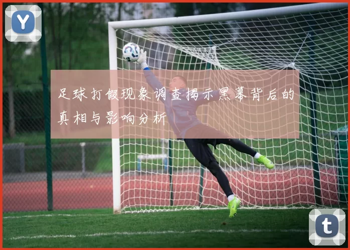 足球打假现象调查揭示黑幕背后的真相与影响分析